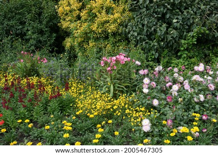 green garden with beautiful flowers and leaves tree plant view 