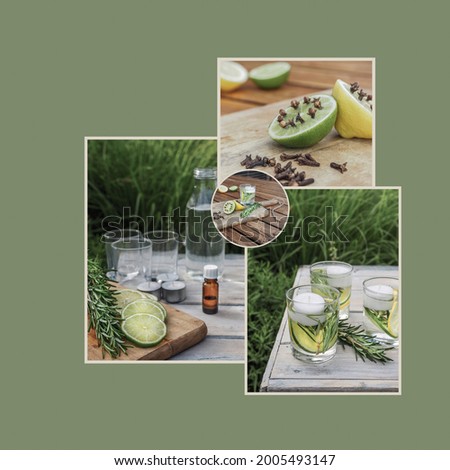 Natural mosquito repellents. Ingredients for natural homemade repellent. Collage of four images. Mood board. Template with copy space. 