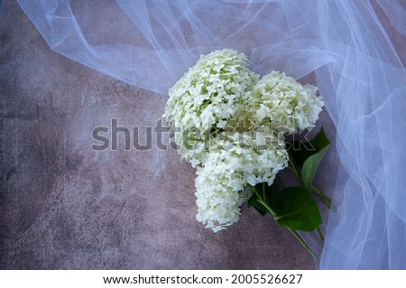 A bouquet of white hydrangea on an abstract background with white tulle. There is an area for the signature.