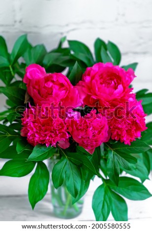 Five bright pink peonies stand in a glass vase on the table. Flower delivery all year round