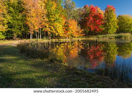 A beutifull fall view by a pond Royalty-Free Stock Photo #2005682495