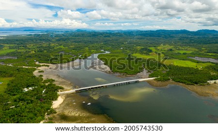 Picture of the bridge of catangnan in siargao island in low tide in the philippines, with the mangrove behind it and a cloudy sky in the background