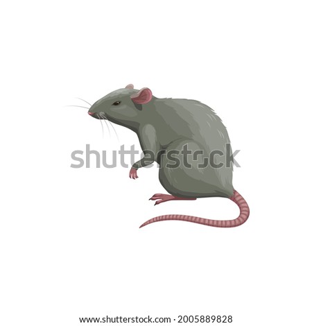 Rat icon, pest control extermination, deratization and disinsection service, isolated vector. Rat rodent and vermin animal, domestic and agriculture pest control and disinfection service symbol Royalty-Free Stock Photo #2005889828