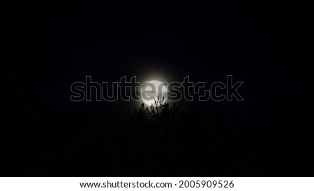 a beautiful full moon behind a tree and clouds in the night sky 