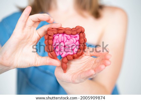 Intestines in hands of woman. Girl demonstrates intestines. Gastrointestinal tract. Concept is taking care of intestines. Caring for gastrointestinal tract. Blurred girl in background. Royalty-Free Stock Photo #2005909874