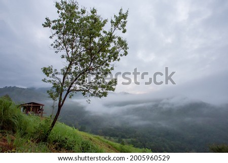 Mountain landscape in the morning, trees, hillside houses, fog, cool atmosphere. hill tribe houses in Thailand except for the clear area on the right