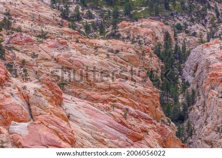 Vertical gray-orange walls in the canyon. Green pine-trees on rock slopes. Hell's Backbone Road in the wilderness area located in south-central Utah, United States.