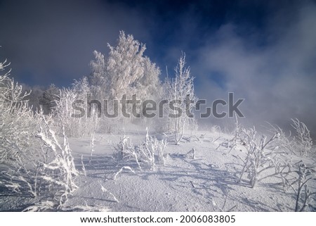 winter landscape with a snow-covered forest in the Urals, Russia