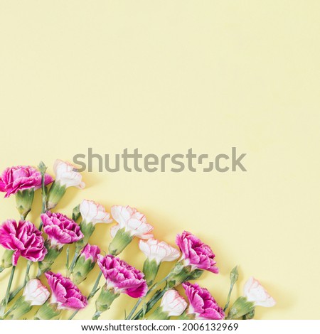 Natural layout made of  colorful flowers on yellow background. Blooming concept. Creative copy space.