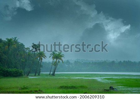 Monsoon hit Kerala - On a rainy day there are cocunt pam trees standing beside a paddy field,  Beautiful landscape photography in rany day, Monsoon photography in Kerala India Royalty-Free Stock Photo #2006209310