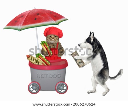A dog husky buys a hot dog in a grey mini movable kiosk. White background. Isolated.