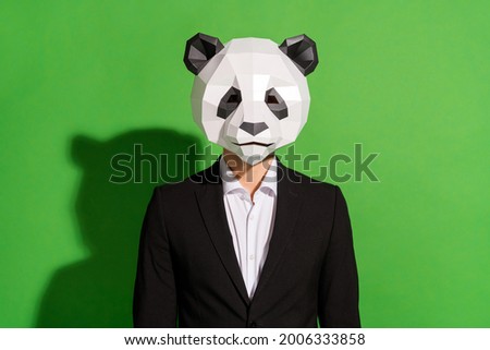 Photo of successful manager posing look camera wear panda head black suit white shirt isolated on green color background