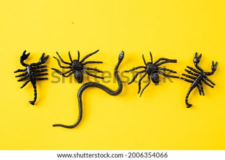 Halloween background with spiders and snakes. Flat layt, top view. Copy space.