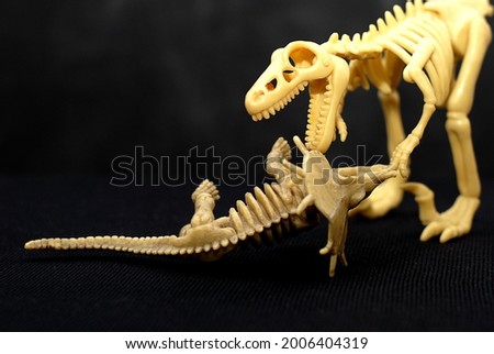 Two dinosaurs on a black background. A carnivorous dinosaur attacks a herbivore. Illustration for evolution and paleontology. Jurassic period.