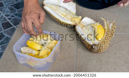 Hand Opened up Durian fruit and stored it inside a plastic food container for making a "Tempoyak" or fermented durian. King of fruits in Southeast Asian. Selective focus.