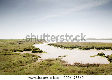 marshland along the river in maldon essex england