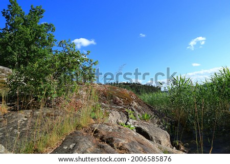 Nice summer photo at a rocky beach. Plenty of gray rocks, stones and hills. Reed in the water. Green bushes growing during the hot summer weather outside. Copy space for text. Stockholm, Sweden.