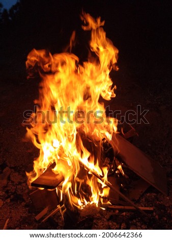 A picture of burning wood. Illuminating fire.