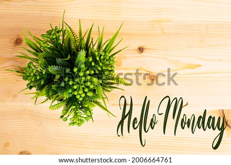 Hello Monday concept with potted plant isolated on wood background