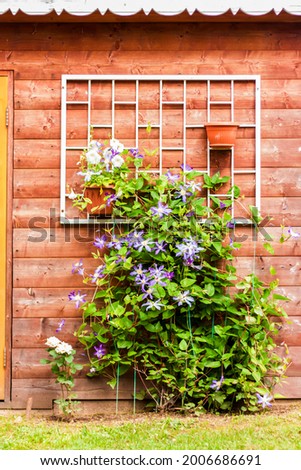Weaving flowers adorn the wooden wall. using the natural landscape and ecology as a background. Selective focusing.