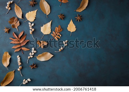 Autumn floral design greeting card of dried leaves border on dark surface. Thanksgiving day, seasonal concept. Copy space.