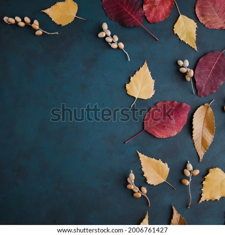 Autumn vibes. Template made of dried leaves on dark background. Seasonal background, fall concept, thanksgiving day composition. Flat lay, copy space