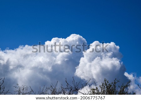 White fluffy clouds floating in the blue sky above the branches