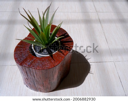 Angle view of craft made from Idigbo wood (or black afara, framire, emeri) which is shaped into a reddish-colored wooden flower vase with faux flower inside under morning sunlight.