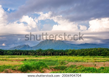 Mountain view with blue sky and white cloud and green grass in evening light