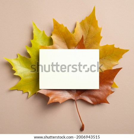 Heap of maple leaves with blank paper note mockup. Thanksgiving greeting card template. Flat lay composition, top view.
