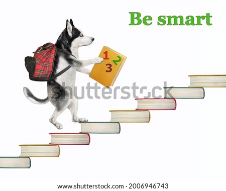 A dog husky with a backpack and a textbook is going up the stairs made of books. Be smart. White background. Isolated.