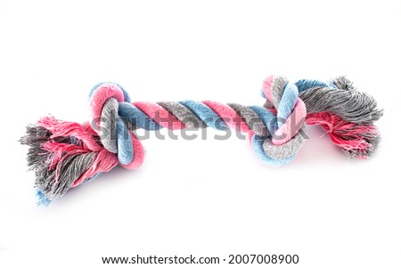 toy for dog in front of white background