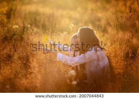 Motherhood. Toddler toddler boy with mom in a field at sunset in summer, beautiful summer photo, blur and soft focus, very warm photo, toning