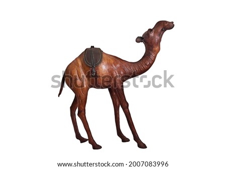 Camel on White Background, Camel, Di Cut...