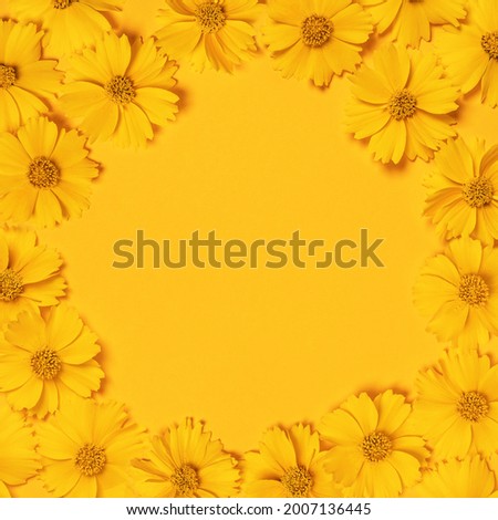 Frame for congratulations, invitations, messages, business cards, logo with yellow chamomile. Daisy on a bright yellow background. Flat lay