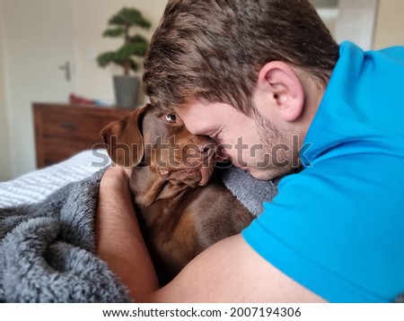 Portrait of happy brown labrador dog looking lovingly at owner. Man embraces canine while on the bed under the blankets. Emotional animal support. Royalty-Free Stock Photo #2007194306