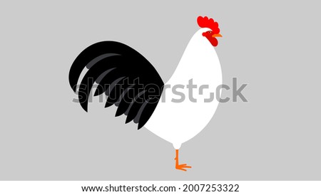 Rooster. White rooster, close-up, side view. Alive domestic bird. Mascot cockerel. Farm poultry in minimalistic style. Realistic illustration of fowl. Modern vector illustration.