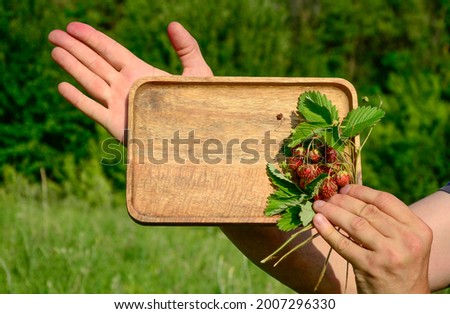 Wild strawberry berries and leaves on wooden background with copy space. 