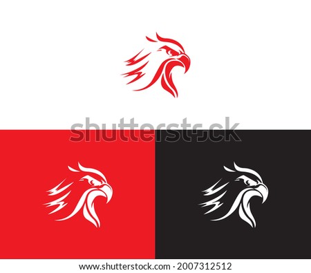 hawk logo eagle symbol bird icon media concept modern business vector design