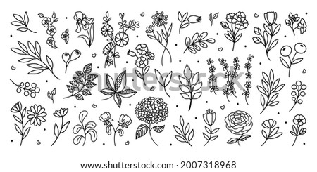 Outline Garden Flowers, Branches and Leaves doodle set. Big botanical collection of Floral design elements isolated. Hand drawn vector Plants and Herbs for card, logo, invitation, coloring page
