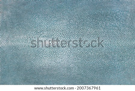 Shagreen stingray skin texture in denim light blue colour
