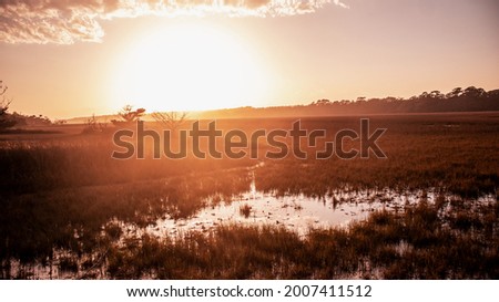 Sunset over a marshy wetland, Edisto Island, South Carolina Royalty-Free Stock Photo #2007411512