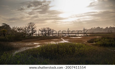Marshy Wetlands near Driftwood Beach, Edisto Island, South Carolina Royalty-Free Stock Photo #2007411554