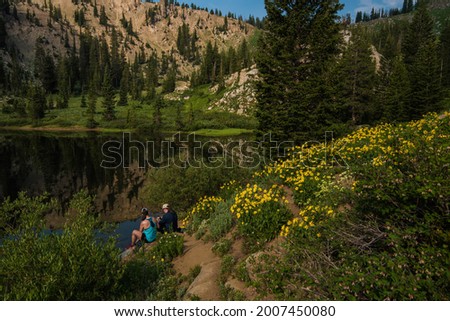 Hikers resting and checking their cell phones near a small mountain lake.  Even the serene natural beauty of wildflowers and a quiet lake cant separate young people from their cell phones.