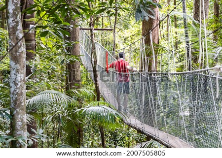 Tourist walking on canopy at Taman Negara National Park rainforest Royalty-Free Stock Photo #2007505805