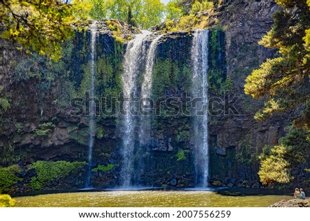 Otuihau Whangarei Falls is a picturesque 26.3 metre-high waterfall, cascading over basalt cliffs. Taken in Whangarei, New Zealand.