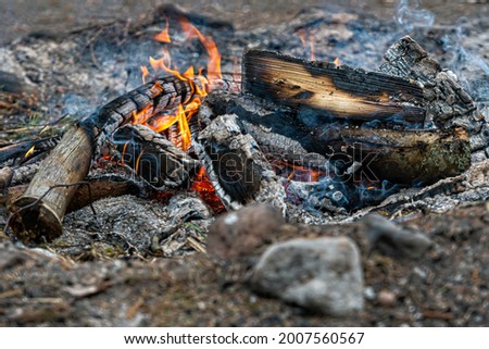 burning firewood, glowing logs, fire and flames closeup photo, burning wood for a barbecue
