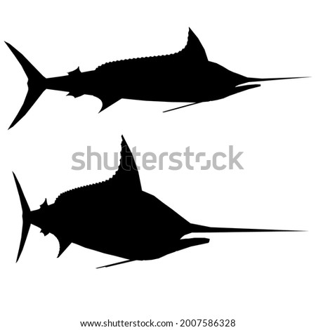 Silhouette of a fish with a pointed nose isolated on a white background. Side view. Vector illustration