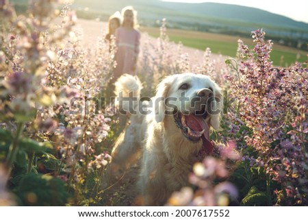 Group of children with a dog in nature. Girls play in the open air. High quality photo