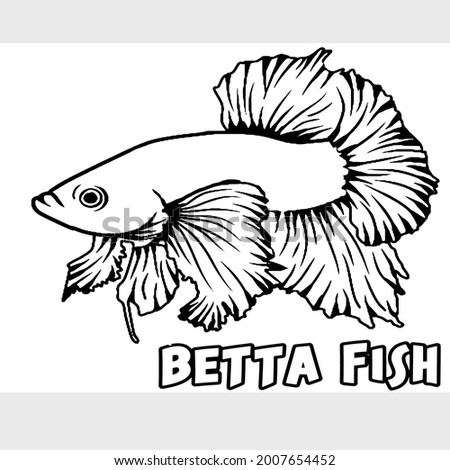 vector betta fish sketsa animals